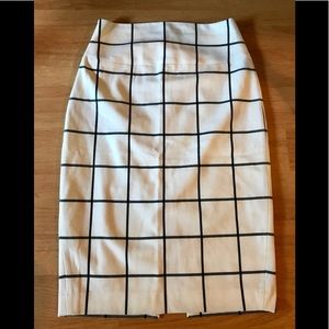 Pencil Skirt